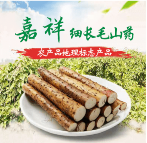 细毛长山药